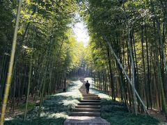 -良渚古城遗址公园