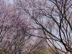 -北京奥林匹克公园
