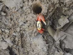 -东寨港红树林旅游区