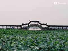 -观桥阁(锦溪店)