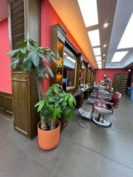 -贝勒爷专业男发