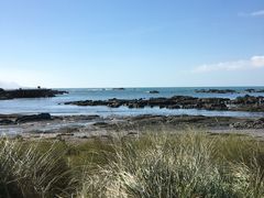 -Kaikoura Seafood BBQ Kiosk