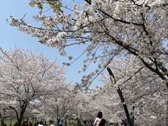 -上海辰山植物园