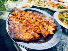 虹鳟-京北渔家傲