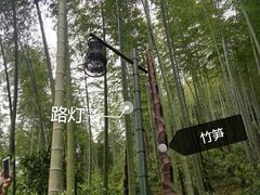 -黄公望隐居地