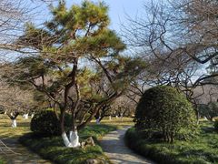 -杭州植物园