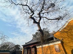 -普陀山风景名胜区-法雨禅寺