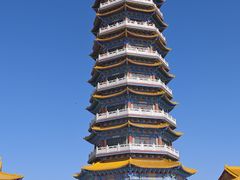 -金塔沙漠胡杨林景区