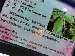 -上海大自然野生昆虫馆(东方明珠·爬宠昆虫探索中心)