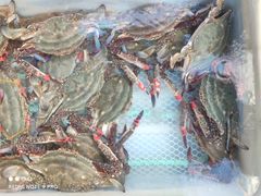 -盛华世家商业广场农贸水产综合批发市场