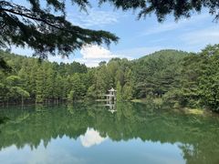 -四明山国家森林公园