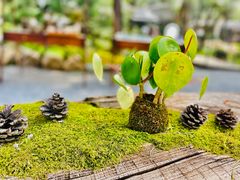 -熙古里艺术村