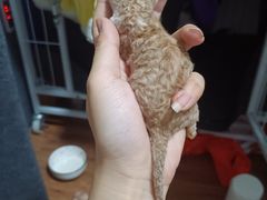 -刘家窑(地铁站)