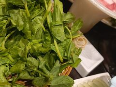-诺筵汤品·菌汤火锅(南河坝店)