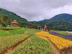 -广州市石门国家森林公园