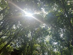 -老君山
