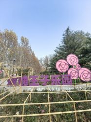 -大望京儿童游乐场