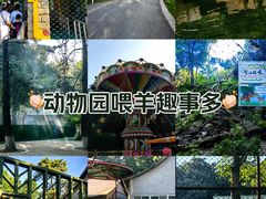 -红山森林动物园