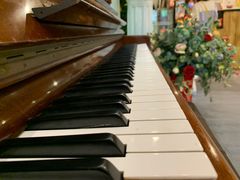 -柯斗斗主题餐厅·狗咖·围炉煮茶·茶饮(国瑞升平里店)