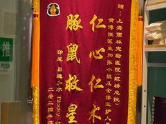 -雨林宠物医院 非犬猫异宠专科