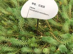 -活水公园