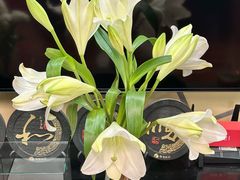 -墨茉点心局(国金街店)