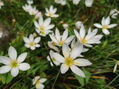 -崇圣寺三塔文化旅游区