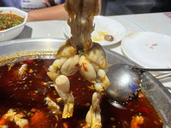 -蛙鱼道美蛙鱼自助火锅(新耍都店)