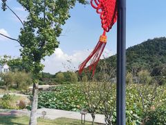-龙寺生态园