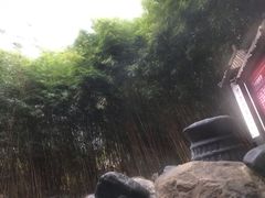 -森波拉火山温泉