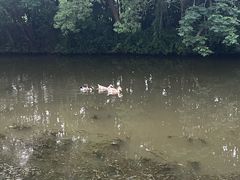 -上海怡沁园度假酒店