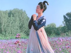 -北京东方普罗旺斯薰衣草庄园