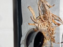 -靓虾二哥·龙虾馆(大塘总店)