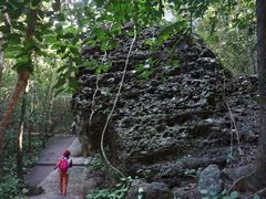 -七仙岭温泉国家森林公园