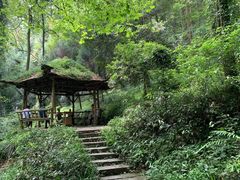 -青城山