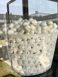 -太湖雪蚕桑文化园