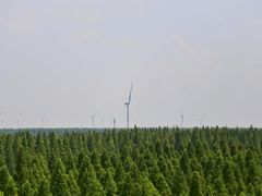 景点-黄海国家森林公园