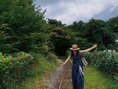 -济州森林小火车生态公园