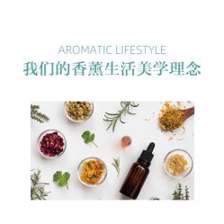 -东方美美容SPA会所