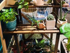 -花十悦·鲜花咖啡餐厅(振业城一期店)
