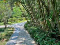 -燕晗山郊野公园