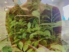 -仙雨林·奶茶鲜果茶(书院巷店)