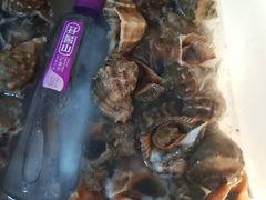 -宾朋海鲜特色美食餐厅·纯手工鲅鱼水饺(兴海路店)