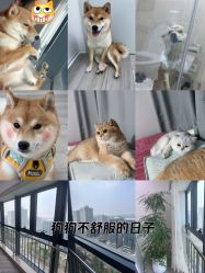 -HEYAN荷妍专业脱毛连锁机构