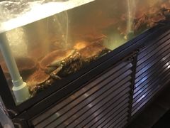 -李老爹香辣蟹(宣武门店)