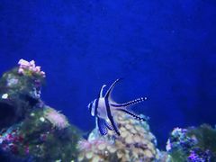 -成都浩海立方海洋公园