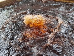 -春晖园度假酒店温泉