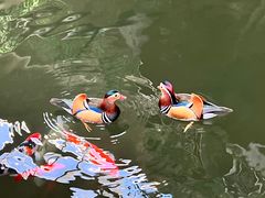 -南宫五洲植物乐园