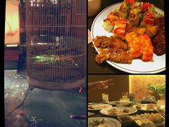杂-松子料理(亮马桥店)