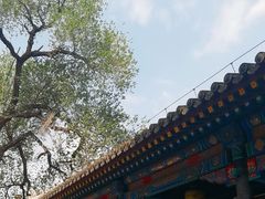-内蒙古将军衙署博物院
